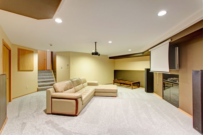 Basement Vacuuming in Puyallup, WA
