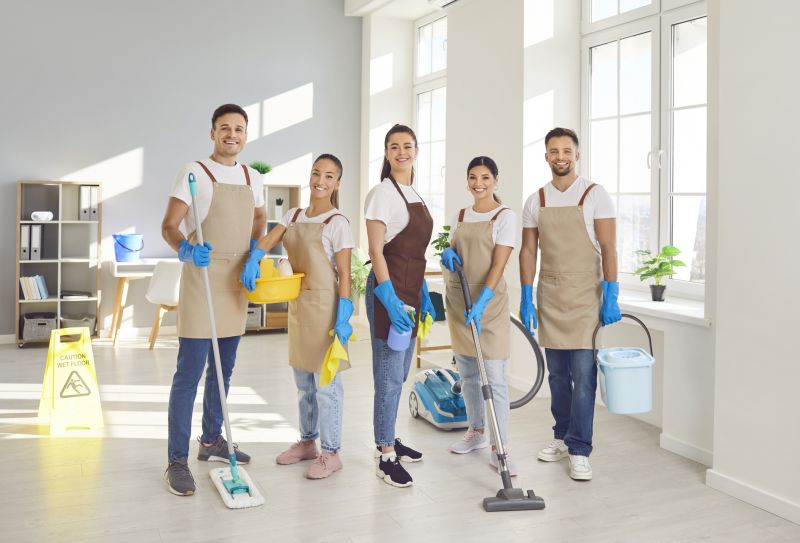 Professional Cleaning Teams