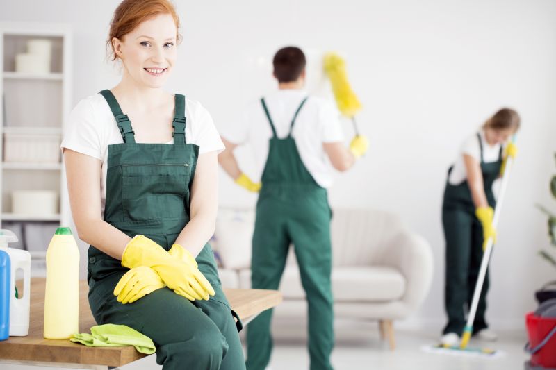 Consultation with Cleaning Professionals